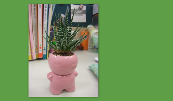 20090827內湖花市買.jpg 20090827內湖花市買.jpg