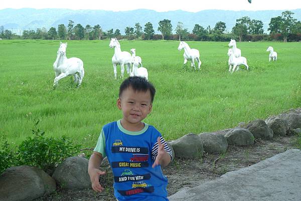 20120812_14花蓮遠雄悅來之旅 105