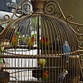 DSC07186.JPG