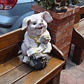 DSC07228.JPG
