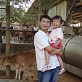 DSC07335.JPG