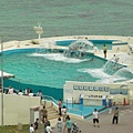 pix 海洋博 Aquarium (17) dolphin show.jpg