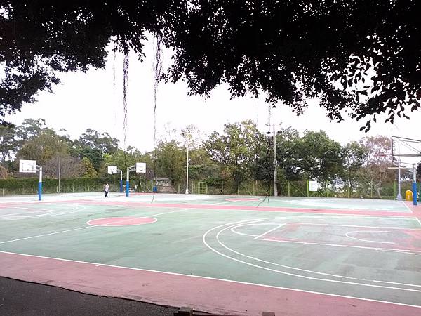 IMG_20170101_142233.jpg IMG_20170101_142233.jpg
