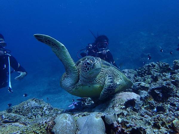 20191012-81.jpg 20191012-81.jpg