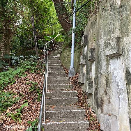 Photo 2020-12-8, 08 39 29_batch.jpg Photo 2020-12-8, 08 39 29_batch.jpg