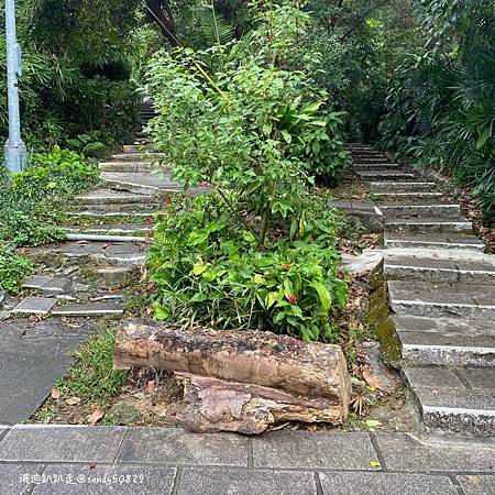 Photo 2020-12-8, 08 54 54_batch.jpg Photo 2020-12-8, 08 54 54_batch.jpg