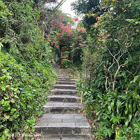 Photo 2020-12-8, 08 58 02_batch.jpg Photo 2020-12-8, 08 58 02_batch.jpg