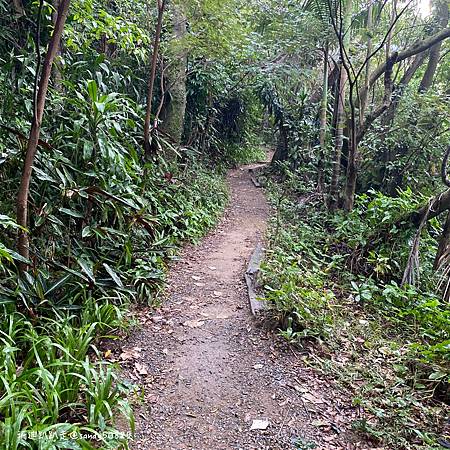 Photo 2020-12-8, 09 08 23_batch.jpg Photo 2020-12-8, 09 08 23_batch.jpg