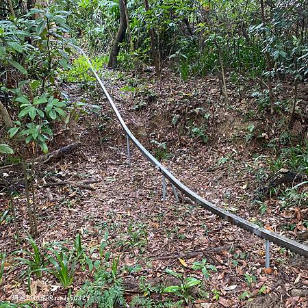 Photo 2020-12-8, 09 09 11_batch.jpg Photo 2020-12-8, 09 09 11_batch.jpg