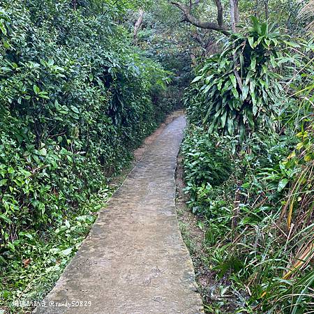 Photo 2020-12-8, 09 49 44_batch.jpg Photo 2020-12-8, 09 49 44_batch.jpg