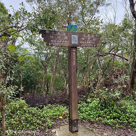 Photo 2020-12-8, 10 21 21_batch.jpg Photo 2020-12-8, 10 21 21_batch.jpg