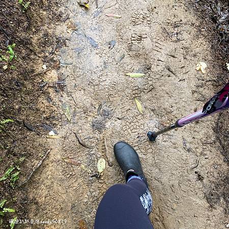 Photo 2020-12-8, 10 22 06_batch.jpg Photo 2020-12-8, 10 22 06_batch.jpg