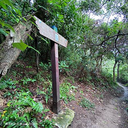 Photo 2020-12-8, 10 23 47_batch.jpg Photo 2020-12-8, 10 23 47_batch.jpg