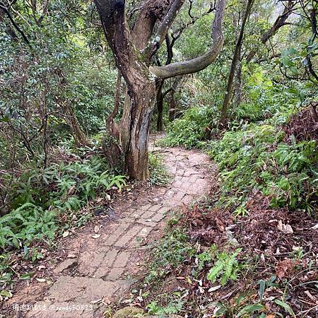 Photo 2020-12-8, 10 35 40_batch.jpg Photo 2020-12-8, 10 35 40_batch.jpg