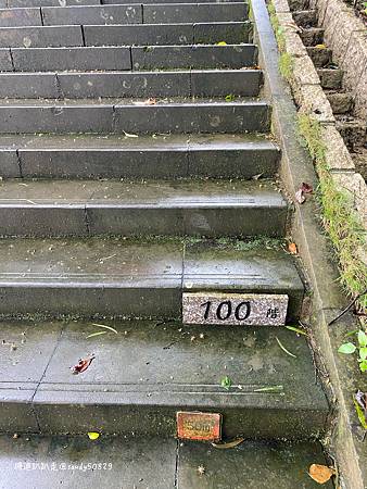 Photo 2020-12-15, 09 54 03_batch.jpg