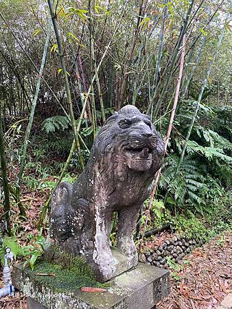 Photo 2020-12-15, 09 59 53_batch.jpg