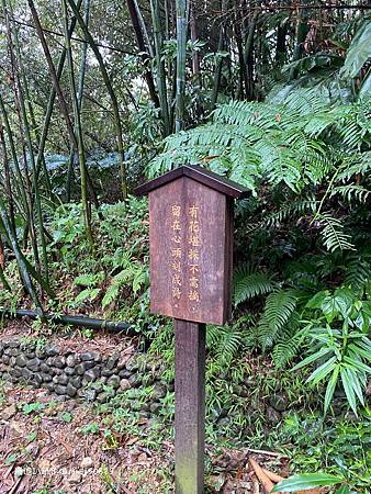 Photo 2020-12-15, 10 00 13_batch.jpg