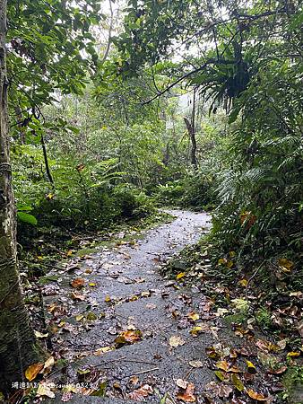 Photo 2020-12-15, 10 55 53_batch.jpg