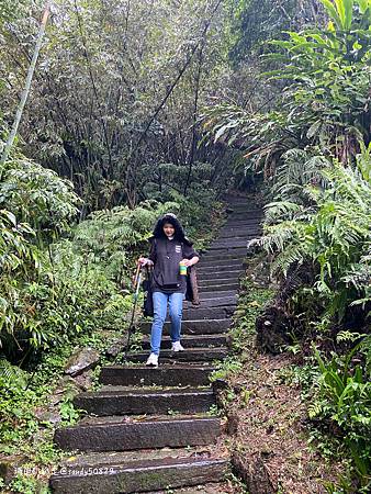 Photo 2020-12-15, 10 59 47_batch.jpg