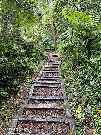 Photo 2020-12-15, 11 02 51_batch.jpg