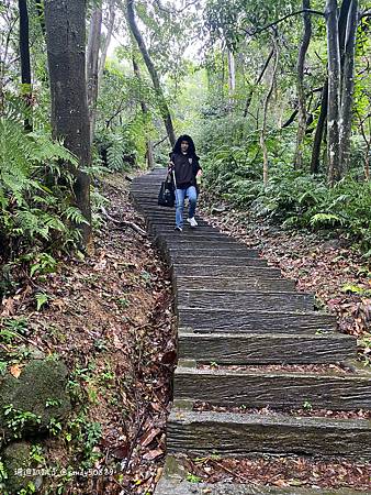 Photo 2020-12-15, 11 05 38_batch.jpg