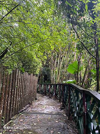 Photo 2020-12-15, 11 29 32_batch.jpg