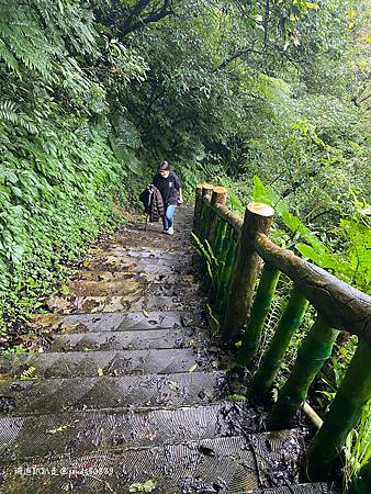 Photo 2020-12-15, 11 34 58_batch.jpg