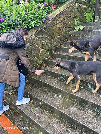 Photo 2020-12-15, 12 56 54_batch.jpg