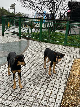 Photo 2020-12-15, 12 53 51_batch.jpg