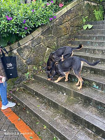 Photo 2020-12-15, 12 56 57_batch.jpg