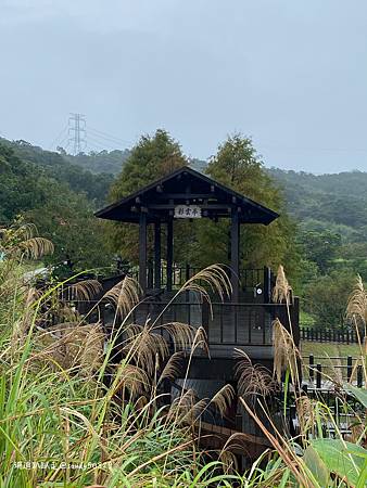 Photo 2020-12-15, 13 07 14_batch.jpg