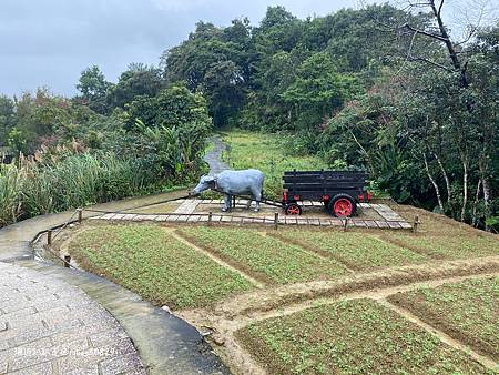 Photo 2020-12-15, 13 06 44_batch.jpg