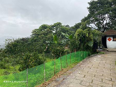 Photo 2020-12-15, 13 11 30_batch.jpg