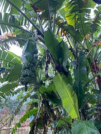 Photo 2020-12-15, 13 18 42_batch.jpg