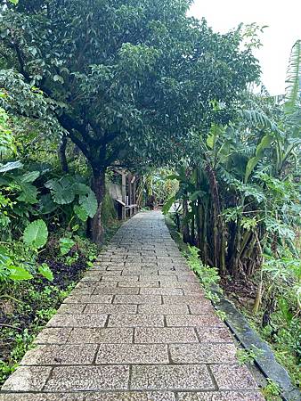 Photo 2020-12-15, 13 18 18_batch.jpg