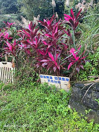 Photo 2020-12-15, 13 17 24_batch.jpg