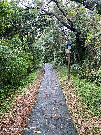 Photo 2020-12-15, 13 50 44_batch.jpg