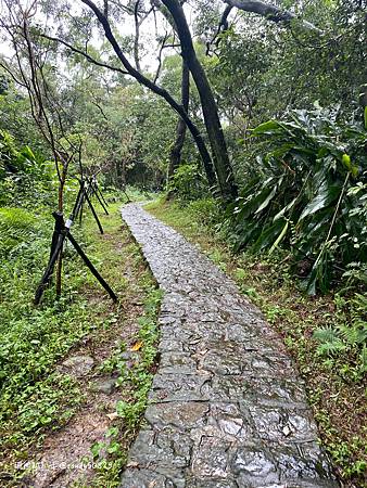 Photo 2020-12-15, 13 55 48_batch.jpg