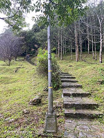 Photo 2020-12-15, 14 20 15_batch.jpg