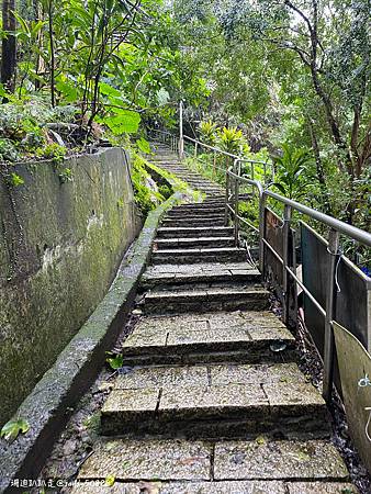 Photo 2020-12-19, 09 29 36_batch.jpg Photo 2020-12-19, 09 29 36_batch.jpg