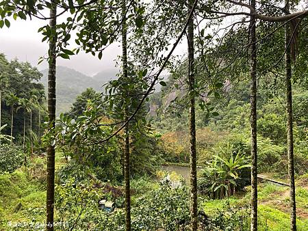 Photo 2020-12-19, 09 38 05_batch.jpg Photo 2020-12-19, 09 38 05_batch.jpg