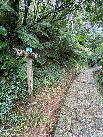 Photo 2020-12-19, 09 42 01_batch.jpg Photo 2020-12-19, 09 42 01_batch.jpg