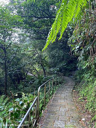 Photo 2020-12-19, 09 39 53_batch.jpg Photo 2020-12-19, 09 39 53_batch.jpg