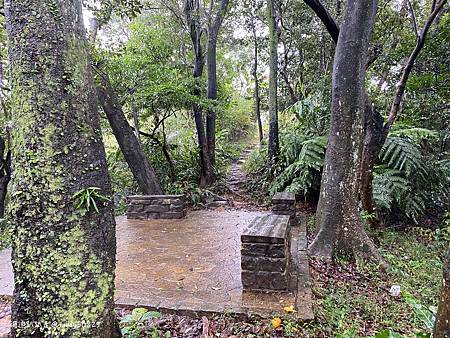 Photo 2020-12-19, 10 05 14_batch.jpg Photo 2020-12-19, 10 05 14_batch.jpg