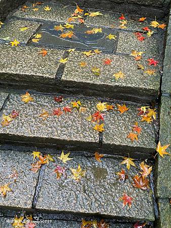 Photo 2020-12-19, 10 22 10_batch.jpg Photo 2020-12-19, 10 22 10_batch.jpg