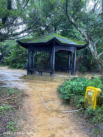 Photo 2020-12-19, 10 25 48_batch.jpg Photo 2020-12-19, 10 25 48_batch.jpg