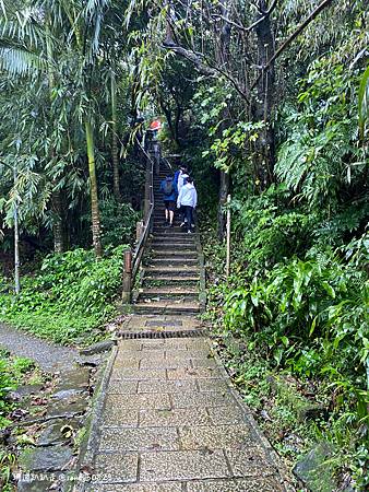 Photo 2020-12-19, 10 36 25_batch.jpg Photo 2020-12-19, 10 36 25_batch.jpg