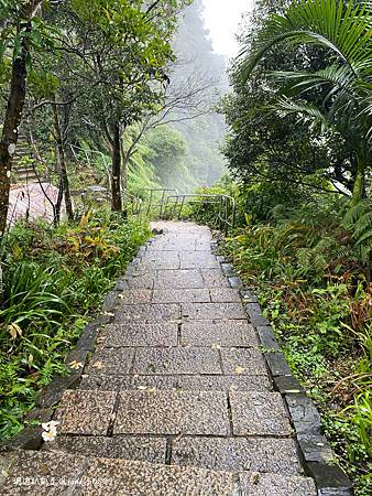 Photo 2020-12-19, 10 39 35_batch.jpg Photo 2020-12-19, 10 39 35_batch.jpg