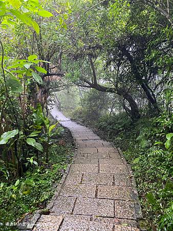 Photo 2020-12-19, 11 02 22_batch.jpg Photo 2020-12-19, 11 02 22_batch.jpg