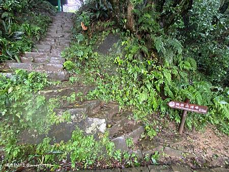 Photo 2020-12-19, 11 19 09_batch.jpg Photo 2020-12-19, 11 19 09_batch.jpg